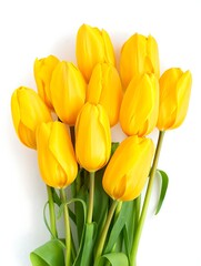 The Radiant Bloom: A Vibrant Symphony of Spring&rsquo;s Elegant Petals