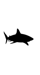 Fototapeta premium Black silhouette of a shark swimming.