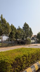 Fototapeta premium park in the city