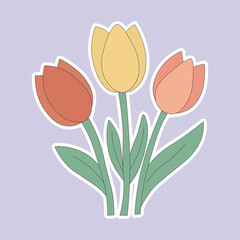 Three Pastel Tulips Illustration Sticker
