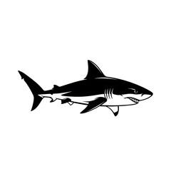 Black and white shark illustration.