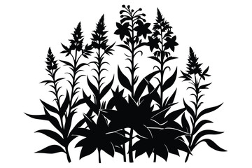Fototapeta premium fireweed wild silhouette line art vector illustration