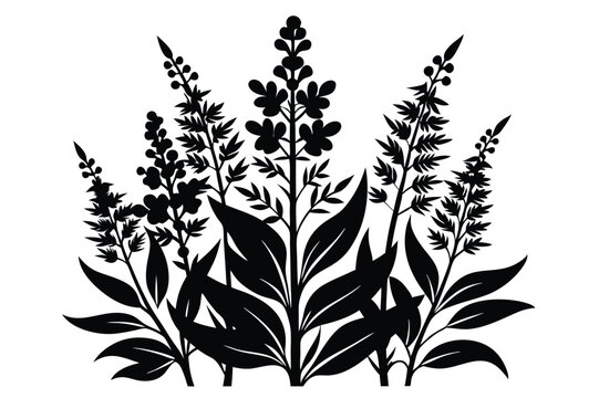fireweed wild silhouette line art vector illustration