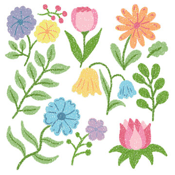 Colorful hand drawn floral collection with crayon and pastel texture. Chalk botanic bold floral elements. Grunge crayon textured branches, leaves, and wild flowers vector illustration