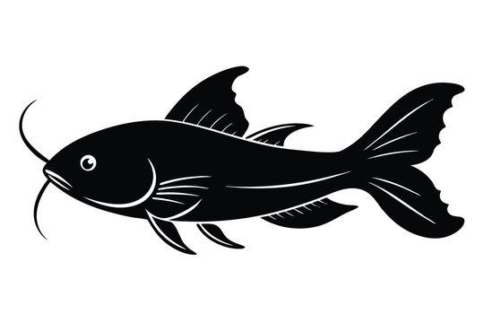 corydoras catfish silhouette line art vector illustration