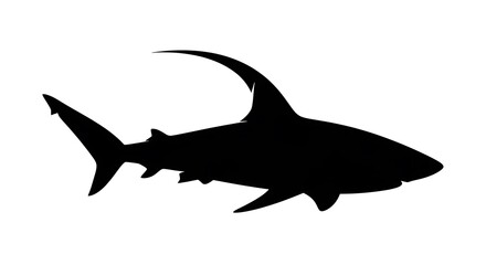 Fototapeta premium Black silhouette of a shark swimming.