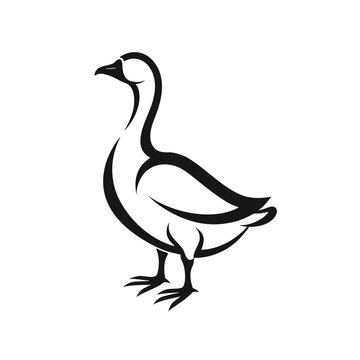 goose isolated on white, Black silhouette of goose. Isolated image of farm bird. Domestic amimal icon. Isolated image .vector icon
