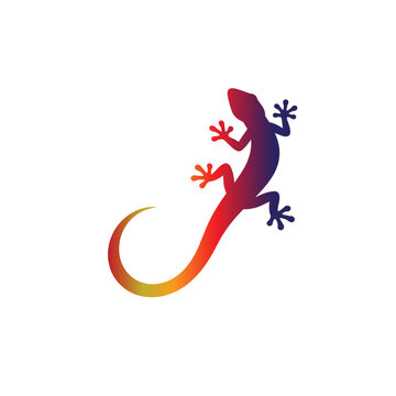 Lizard vector icon silhouette illustration.