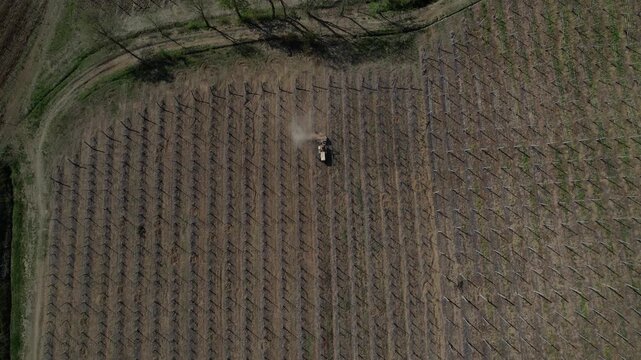 Vintage crawler tractor in Colli Piacentini, Emilia-Romagna, Italy, levelling downhill vineyard soil between planted row in Apennine foothill wine landscape, top down drone descending shot.