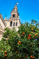 View of the La Giralda with Seville&rsquo;s iconic orange trees