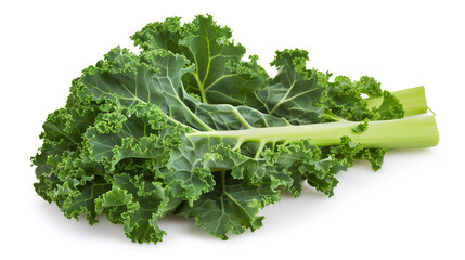 Obraz premium Fresh green kale leaves with curly edges and thick stems isolated on a white background