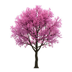 Naklejka premium A solitary cherry blossom tree adorned with vibrant pink flowers against a plain background