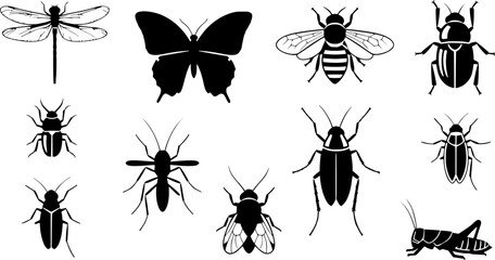 Black Insect Silhouette Collection Isolated on White Background Vector Icon Set
