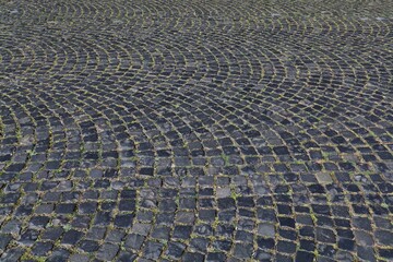 Fototapeta premium Stone paved street with grass. Old stone pavement. Cobblestone in Germany. Bochum city, Germany.
