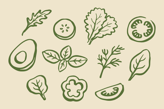 Salad herbs and vegetables doodle line art vector illustration