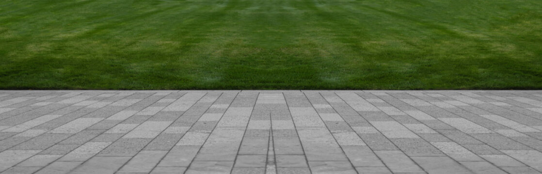 Green lawn and road surface from paving slabs in backyard. Gray color tiles floor, strip line concrete pavement and green grass carpet lawn. Concrete paving with tiles Green bush and cut grass in park