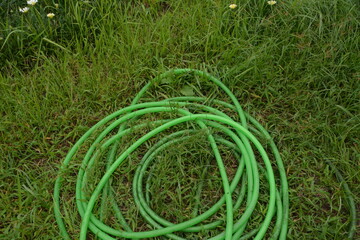 芝生の上に置かれたホース