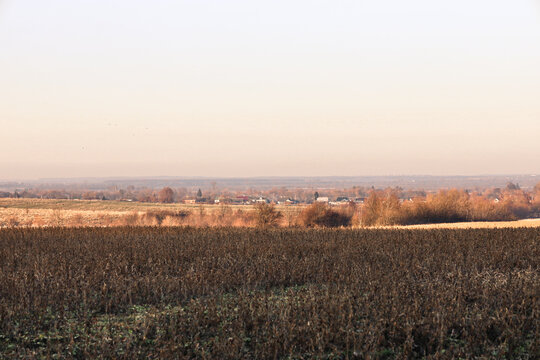 A wide agricultural field with dried vegetation spreads out against the backdrop of a distant village under a soft evening sky. Golden hues of autumn trees and gentle sunlight create a peaceful panora