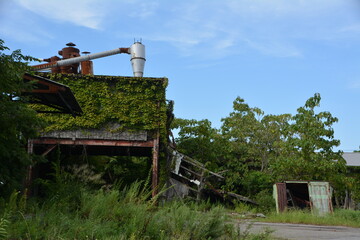 ツタに覆われた廃工場