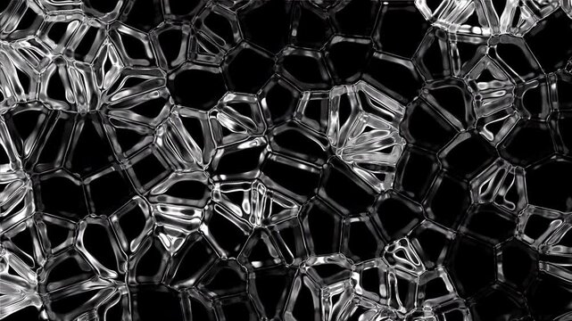 High-quality 4K motion graphic featuring a dynamic, organic cellular pattern. Voronoi tessellation and reaction-diffusion aesthetics create a fluid, living texture. Animation.