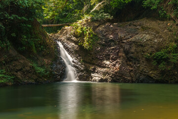 Obraz premium A small rainforest waterfall flows into a forest pool beside a rock wall in Borneo, Malaysia.