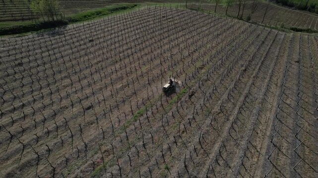 Crawler tractor in vineyard of Colli Piacentini near Piacenza, Emilia-Romagna, Italy, moving between dormant vine row on sloped agricultural terrain in traditional wine region, drone orbit shot.