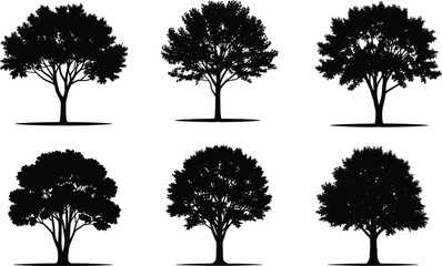 Fototapeta premium Collection of Six Different Detailed Deciduous Tree Silhouettes Isolated on White Background for Nature Landscape Design and Environmental Graphic Projects