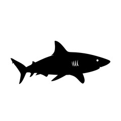 Fototapeta premium Shark Silhouette Ocean Marine Animal.