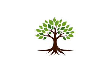 Fototapeta premium green leafed tree vector