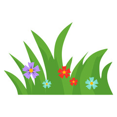 flowers blooming in lush green grassy landscape