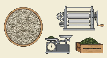 Herbal Processing: Drying, Weighing, and Packaging Herbs for Production