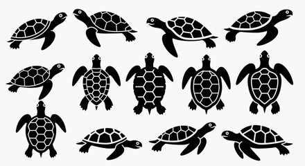 Collection of black sea turtle silhouettes on white background. © Abhinaya Project