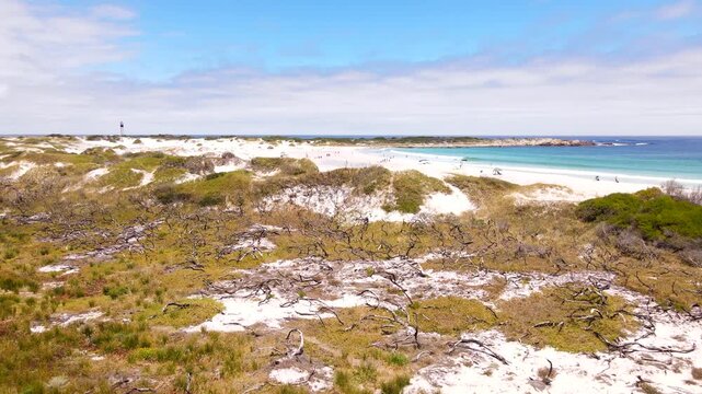 Dune vegetation of Moonlight Beach in Pringle Bay along Cape Whale Coast, aerial