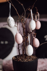 christmas decoration on black background