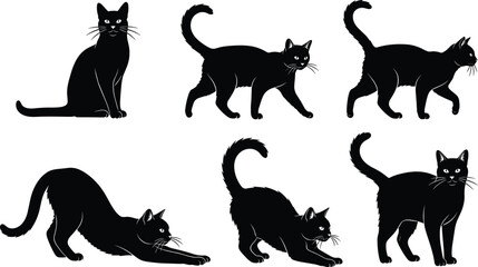 Black cat silhouettes collection, domestic feline poses set isolated on white background vector illustration for Halloween theme © Sakib World