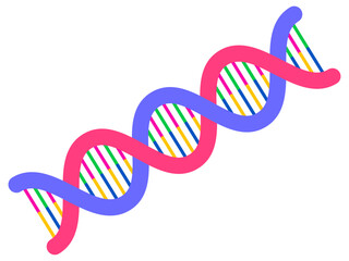 遺伝子DNAの螺旋構造のイラスト素材3