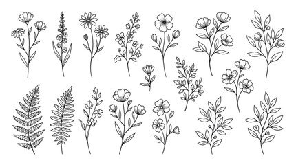 Fototapeta premium A detailed collection of hand-drawn botanical sketches showcasing diverse wildflowers, leaves, and ferns rendered in monochrome line art.
