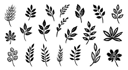 Hand Drawn Textured Leaf Silhouettes and Botanical Branch Vector Set