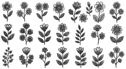 Hand Drawn Crayon Floral Doodles and Botanical Vector Icon Set