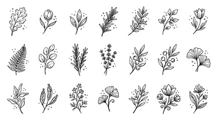 Hand Drawn Botanical Floral Doodles and Ink Leaf Vector Icon Set