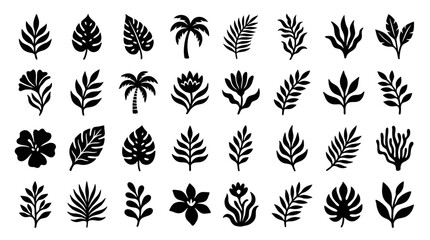 Tropical Leaf Silhouettes and Hand Drawn Botanical Icon Vector Set