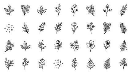 Hand Drawn Botanical Floral Doodles and Ink Leaf Vector Icon Set
