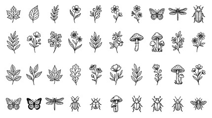 Hand Drawn Botanical Floral and Insect Doodle Vector Icon Set
