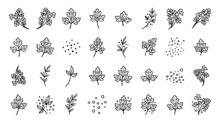 Hand Drawn Textured Ink Leaf and Floral Botanical Doodle Vector Set