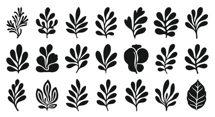 Hand Drawn Leaf Silhouettes and Botanical Branch Doodle Vector Set