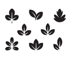 Set of black silhouette leaves including single and triple foliage clusters for decorative graphics