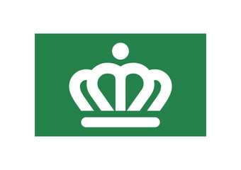 Flag of Charlotte city, North Carolina, US © Estel Leonard