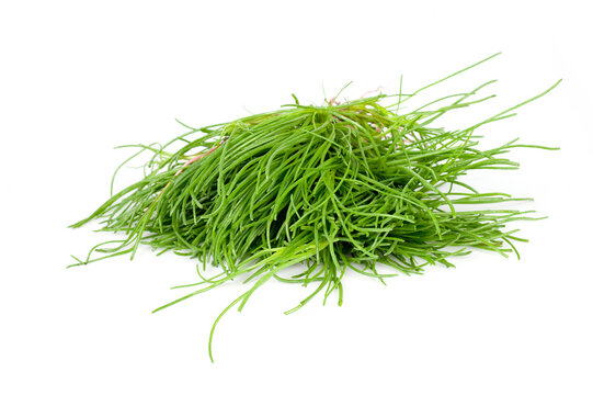 Agretti