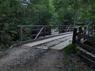 Wooden bridge with railing in dense forest