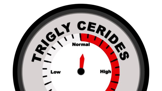 Triglycerides Gauge Meter Showing Low to High Levels on White Background dial measurement